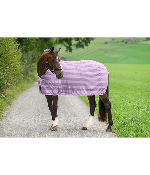 vliegendeken Economy Light