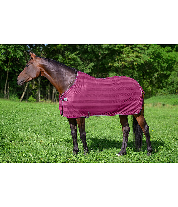 vliegendeken Economy Light