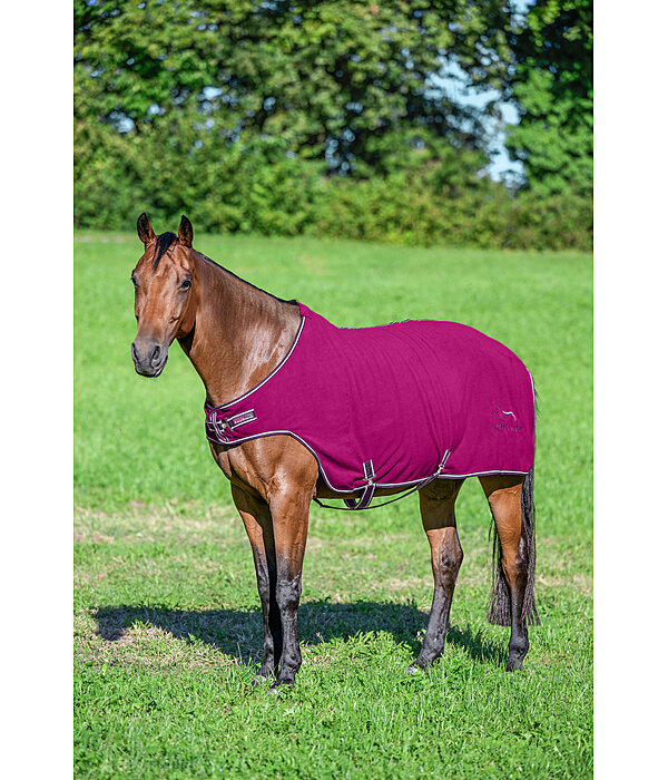 fleece Walker Activity