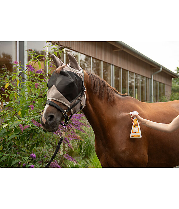 paarden deodorant sinaasappel-walnoot