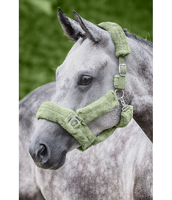 teddyfleece halster Protection