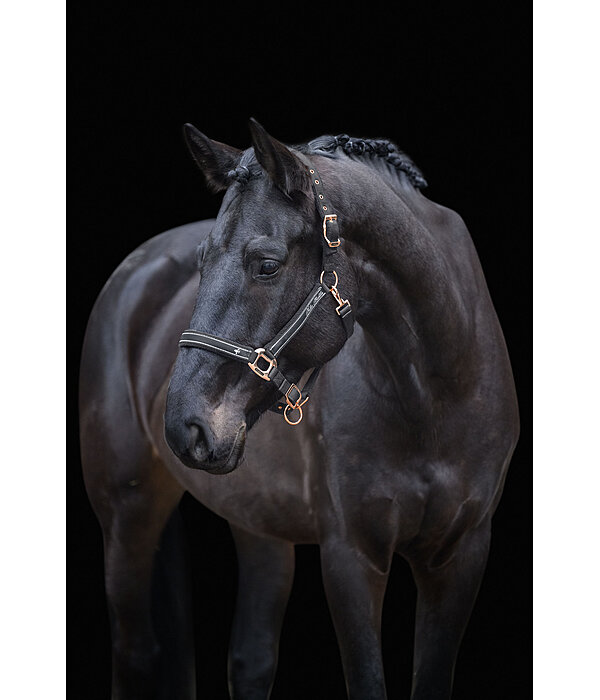 halster Glamorous