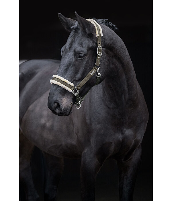 halster Sparkling II