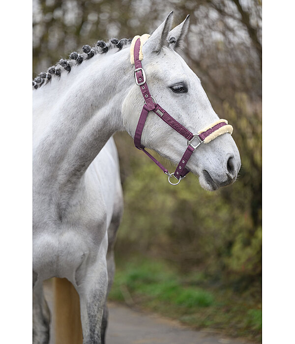 halster Sparkling II