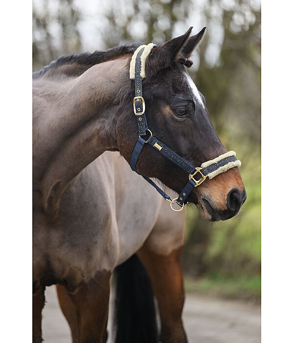 halster Sparkling II