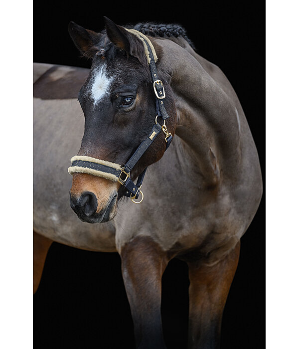 halster Sparkling II