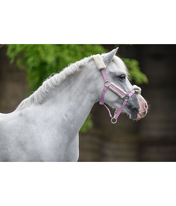 veulen & shetty teddyfleece halster Cozy verstelbaar