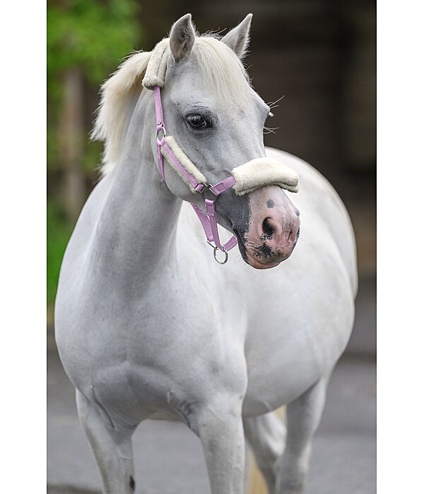 veulen & shetty teddyfleece halster Cozy verstelbaar