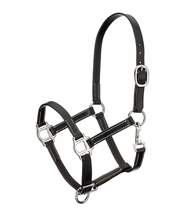 Darmen tandarts Kalmte veulen leren halster Classic - Leren halsters - Kramer Paardensport