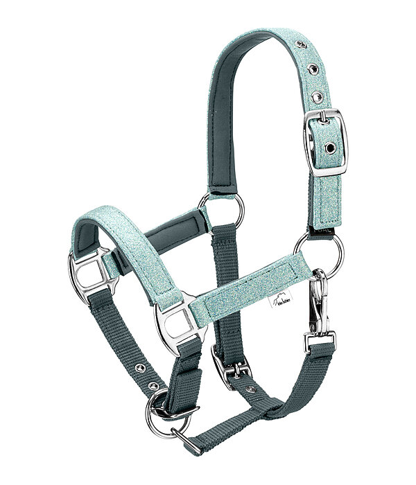 veulen en shetty halster Twinkle
