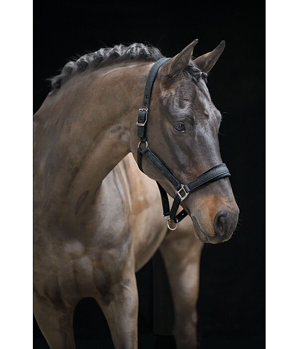 halster Velvet Twinkle