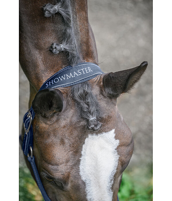 halster Cloud