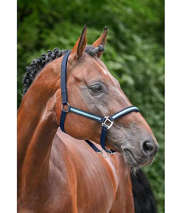 Veulen en Shetty Halster Blaire