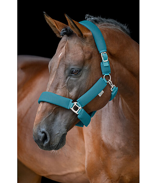 Mesh halster Airflow