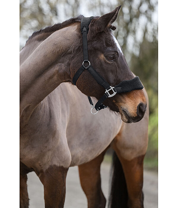 teddyfleece halster