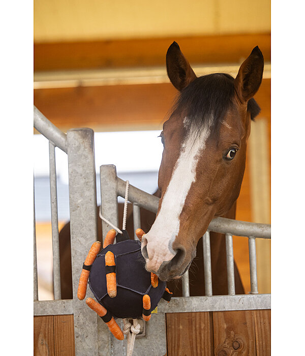 Paardenspeelbal Snack