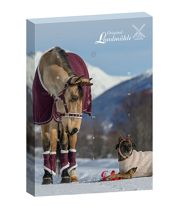 adventskalender voor paarden