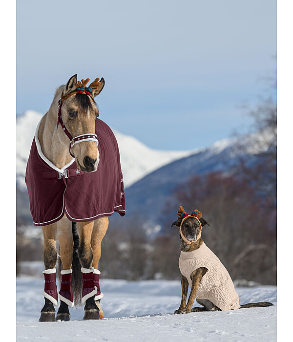 adventskalender voor paarden