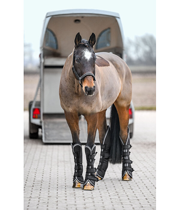 transportbeschermers Kilian