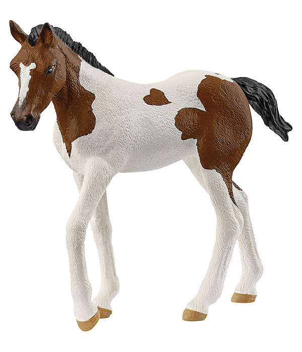 Paint Horse Veulen