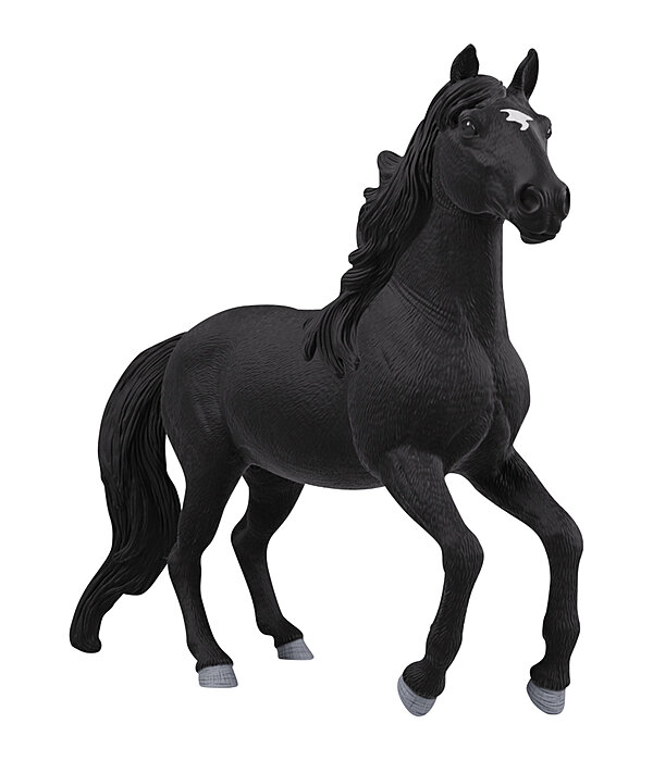 Lusitano hengst