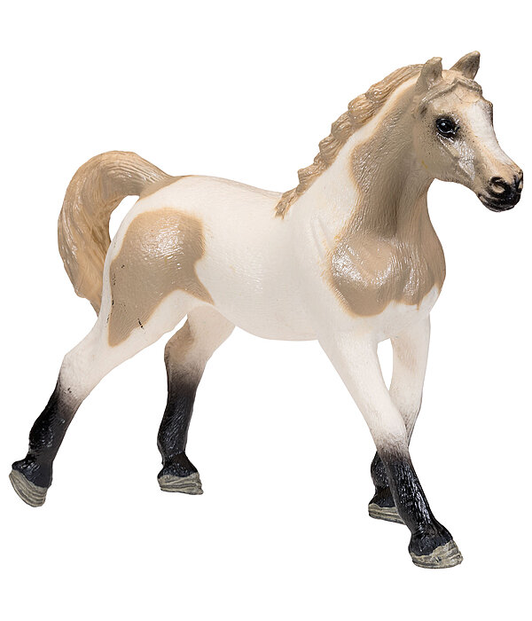 Play series  bonte Palomino