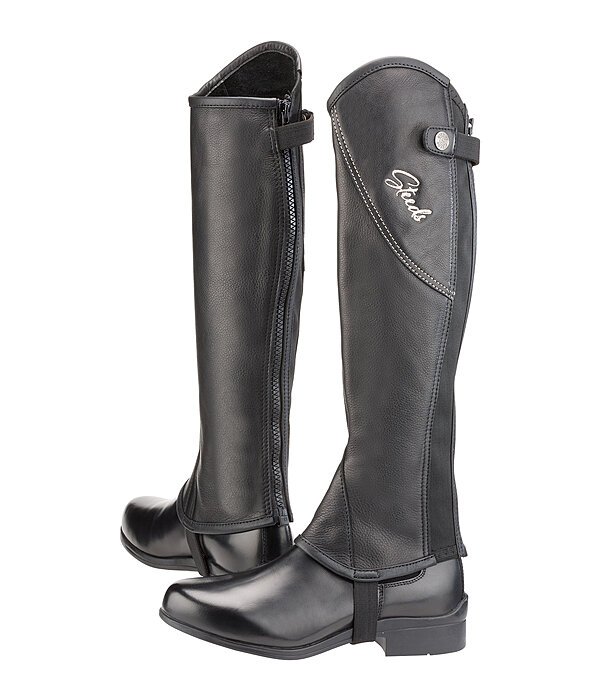 verdamping risico Aubergine chaps Evolution - Rijlaarzen & rijschoenen - Kramer Paardensport