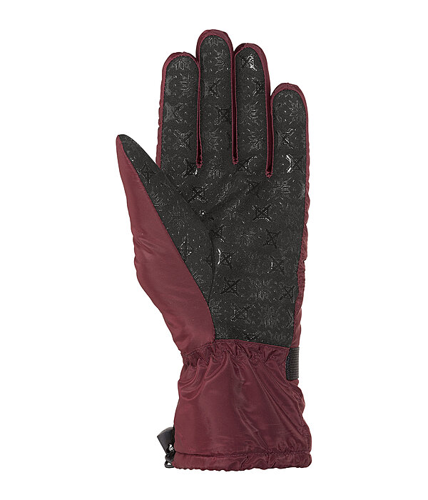 winter handschoenen Alaska II